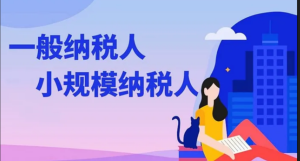 一般納稅人和小規(guī)模那個(gè)更合適？怎么選擇